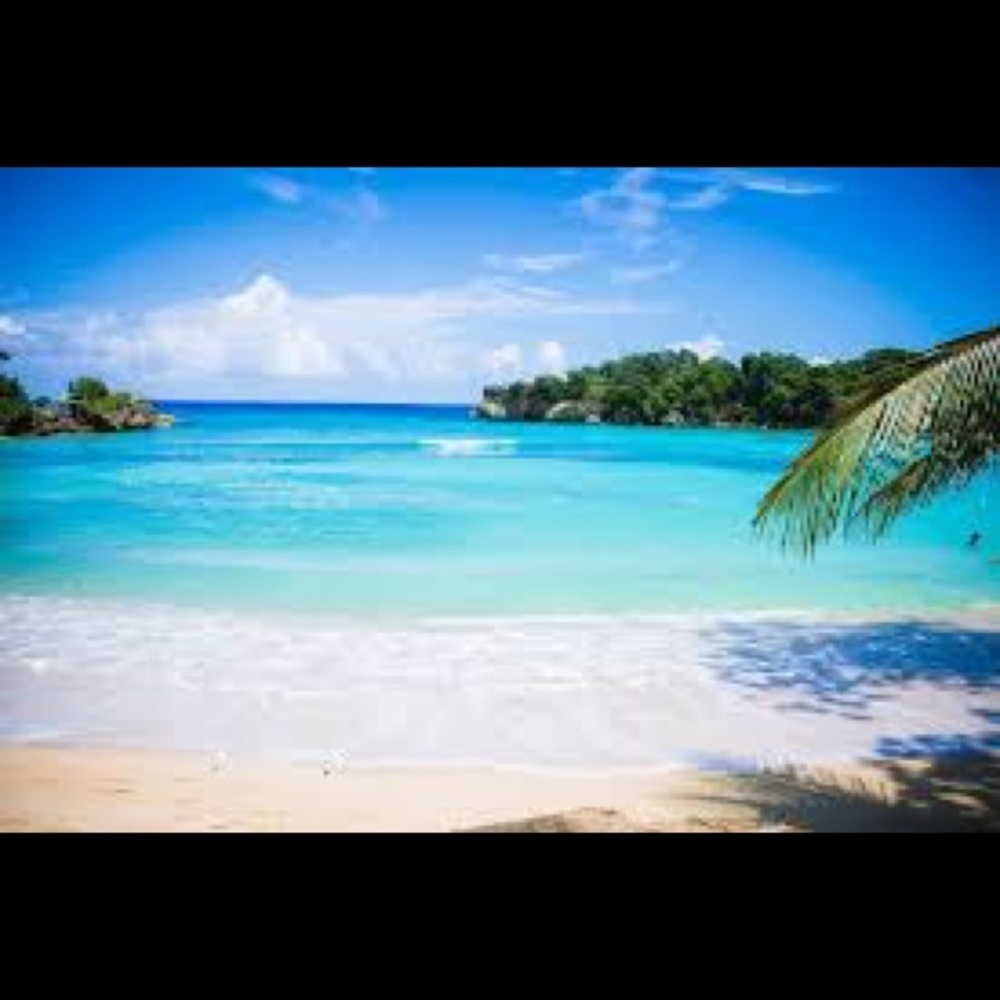 Meet your Posher, Casey